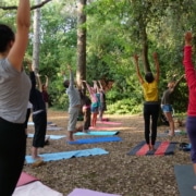 Yoga sous les arbres cet été à La Rochelle au parc Franck Delmas