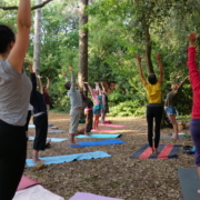 Yoga sous les arbres cet été à La Rochelle au parc Franck Delmas