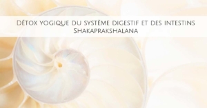 Shankaprakshalana Détox LaRochelle