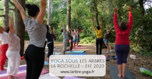 Yoga sous les arbres, cet été à La Rochelle