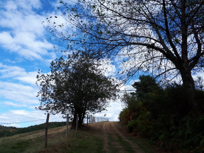 rando-yoga-montagne-chemin