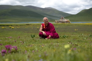 L'Arbre yoga - yoga solidaire - Matthieu Ricard