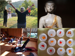 stage yoga et ayurveda ariege