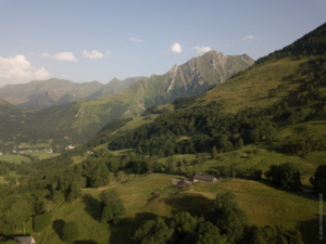 DJI_0490
