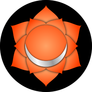 yantra swadishtana