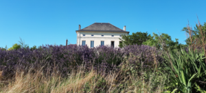 dojo du plessis stage silence
