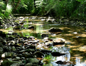 Ruisseau ecolieu du Laring